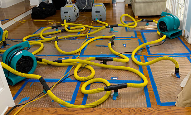Professional Water Extraction technician working in Adell, WI